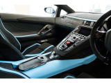 Interior details in shiny black