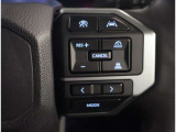 ステアリングスイッチではクルーズコントロール操作が可能です。運転中のご利用は十分にご注意ください。