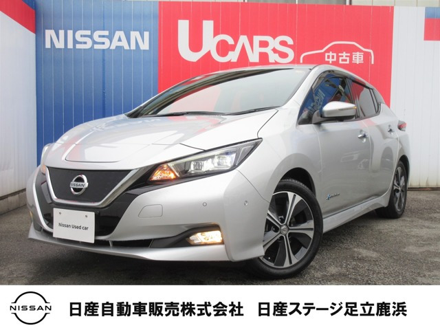 リーフ G