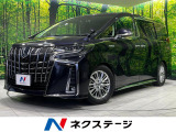 サンルーフ 両側電動ドア BIG-X11型ナビ バックカメラ 寒冷地仕様