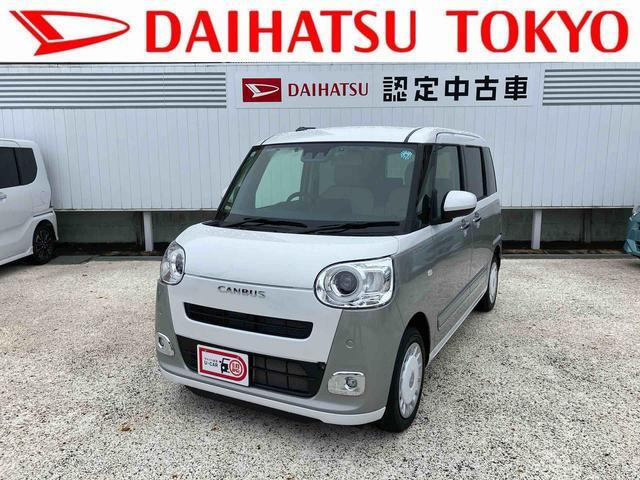ムーヴキャンバス  ストライプス G