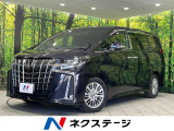 アルパイン10型ナビ 両側電動スライドドア バックカメラ 寒冷地仕様