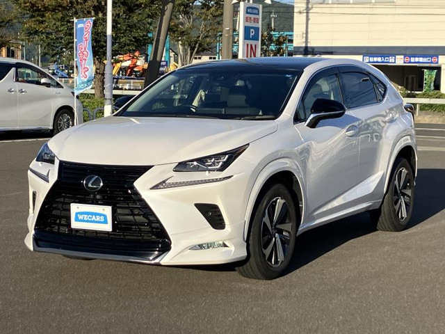 NX 300 ブラック シークエンス 