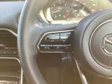 ステアリング左にはオーディオ系システムがまとまっており、運転中の快適性をサポートしてくれます。