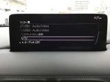 オーディオソースはこのようになっています。
