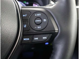 ステアリングスイッチ付き。前方から目を離すことなく操作することが可能です。