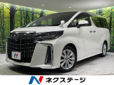 純正10型ナビ 後席モニター 寒冷地仕様 衝突軽減装置 両側電動ドア