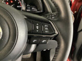 追従型クルーズコントロール付!高速道路走行時にアクセルやブレーキを操作することなく、前方車との車間距離を保つよう自動で車速をコントロールします。
