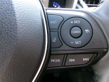 レ-ントレーシングアシストは、車線の逸脱を検知して音で教えてくれます。ドライブのサポートになりますね。(補助装置です)