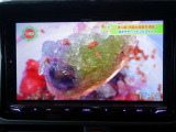 ケンウッド9型ナビ!Bluetooth!ブルートゥース!フルセグTV!地デジ!CD/DVD!FM/AMラジオ!USB/SD再生!ワイヤレスミラーリング!バックカメラ!