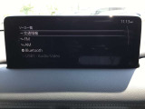 オーディオソースはこのようになっています。