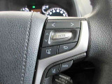ステアリングスイッチは前方から目を離すことなく操作することが可能。わき見運転の防止に。