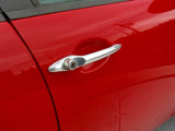 ドアノブも研磨仕上げ済み