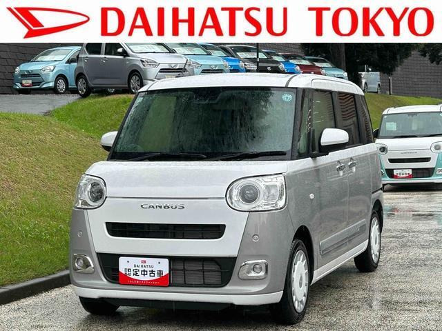 ムーヴキャンバス  ストライプス G