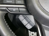 各操作スイッチなどもハンドルから手を放すことなく操作可能で安全運転に支援いたします!