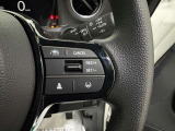 高速での運転をサポートし疲労を軽減する前車追従機能付きクルーズコントロールを標準装備しています。