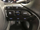 ステアリングスイッチ付き。前方から目を離すことなく操作することが可能です。