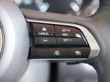 納車後はディーラーならではの保証体制でサポートさせていただきます