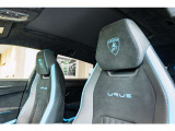 Bicolor Sportivo Alcantara- with Performante trim