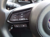 ステアリングスイッチは運転姿勢や視線を崩さずに操作が可能です。左側にはオーディオ類があります。