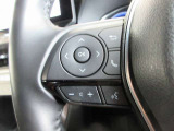 ステアリングスイッチは前方から目を離すことなく操作することが可能です♪わき見運転の防止に役立ちます!!