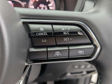 追従型のオートクルーズ&CTSで高速も楽々!!