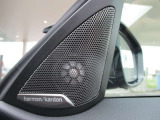 SOSコール装備です。緊急時は遠慮なく押してください。BMWメーカーエマージェンシーに直結致します。