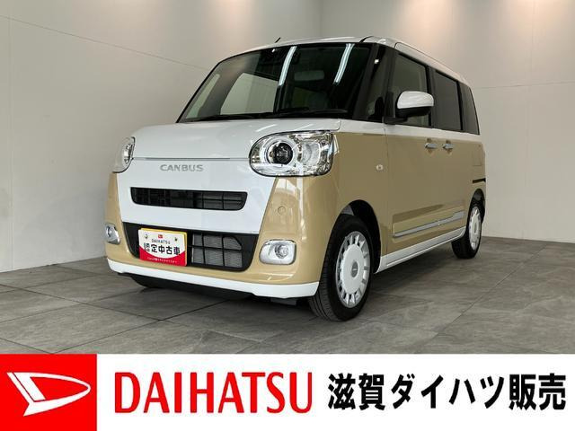 ムーヴキャンバス  ストライプス G