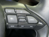 ステアリングスイッチ付き。前方から目を離すことなく操作することが可能です。