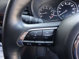 【ステアリングスイッチ】ステアリングスイッチは運転姿勢や視線を崩さずに操作が可能です。左側にはオーディオ類があります。