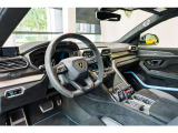 Bicolor Sportivo Alcantara- with Performante trim
