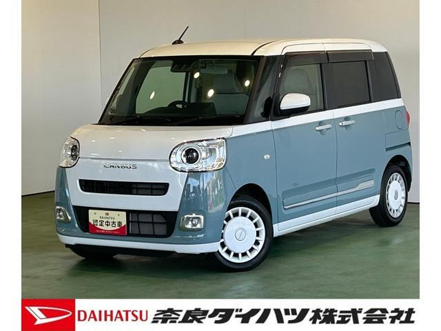 ムーヴキャンバス  ストライプス G