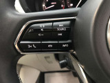 Bluetoothやハンズフリーに対応したステアリングスイッチとなります。