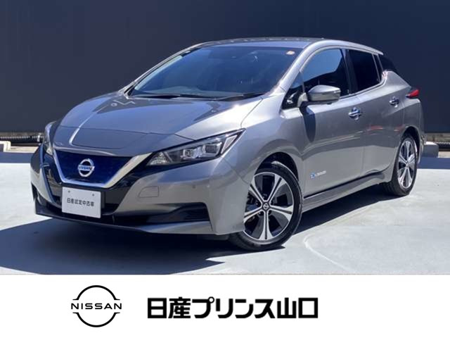 リーフ X Vセレクション