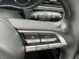 全車速追従機能付(MRCC)アクセルを離しても前方の車に合わせて走行ができます。