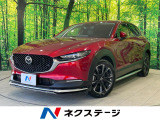 メーカー10型ナビ 全周囲カメラ 100V電源 衝突被害軽減システム