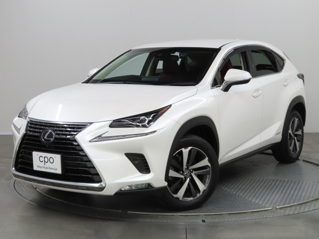 NX 300h バージョンL 