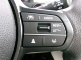 クルーズコントロールで一定速度をキープできます。運転の疲労も軽減してくれ、燃費節約にも役立ちます。ロングドライブの頼もしい味方ですね。