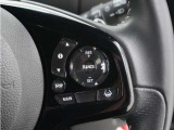 ◆アダプティブクルーズコントロール◆予め設定した車速内でクルマが自動的に加減速。前走車との適切な車間距離を維持しながら追従走行します。【LKAS】車線維持支援システムでステアリング操作を支援。