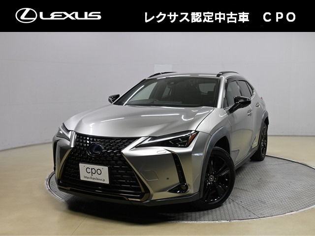 UX 250h