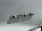 S-HYBRID