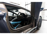 Unicolor Alcantara interior