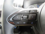 ステアリングスイッチは前方から目を離すことなく操作することが可能。わき見運転の防止に