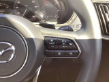 ステアリング右には運転支援系システムがまとまっており、運転中の操作の迷いを少なくしてくれます。