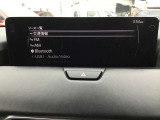 オーディオソースはこのようになっています。