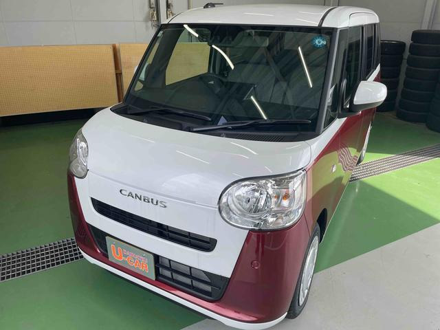 ムーヴキャンバス  ストライプス X