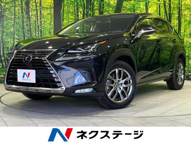 NX 300h 