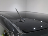 スッキリした大きさで車のデザインに自然に溶け込めるマイクロアンテナ。倒したり、取り外すこともできますよ。