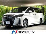 モデリスタフルエアロ サンルーフ デジタルインナーミラー 三眼LED