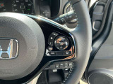 ステアリング右には運転支援系システムがまとまっており、運転中の操作の迷いを少なくしてくれます。